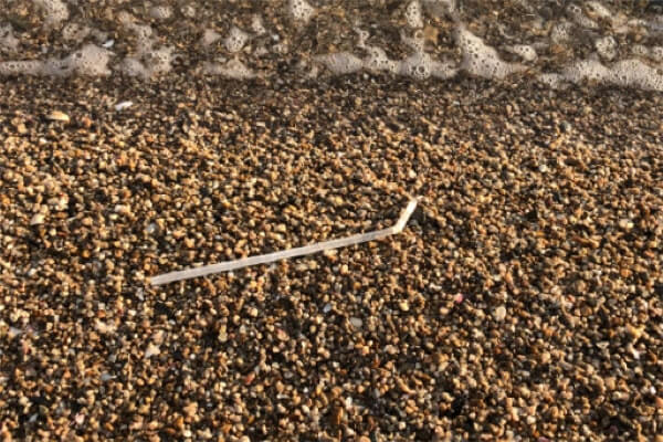 浜辺に捨てられたプラスチックストローの写真