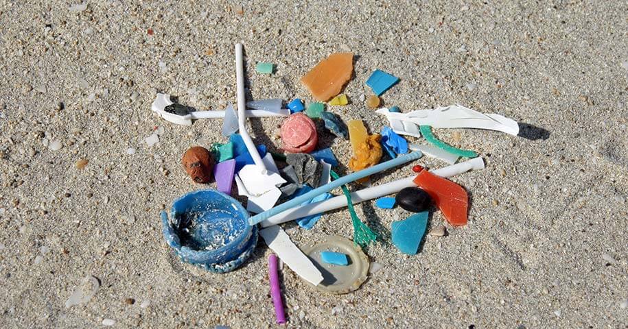 海岸に打ち上げられたマイクロプラスチック