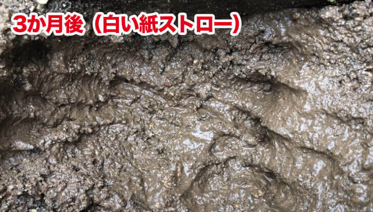 紙ストローを土に埋めて3カ月後に掘り返した画像(生分解実験)