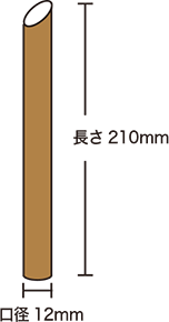 口径12ミリx長さ210ミリ