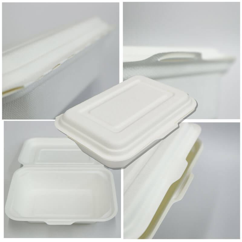 バガス商品の外観