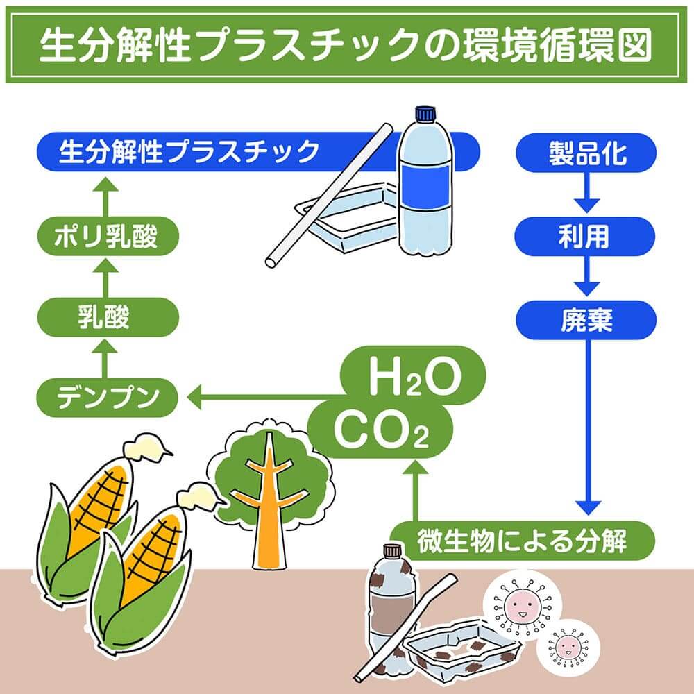 生分解性PLAプラスチックの環境循環図