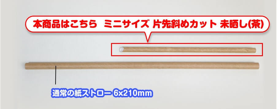 他の紙ストローと長さを比べた写真