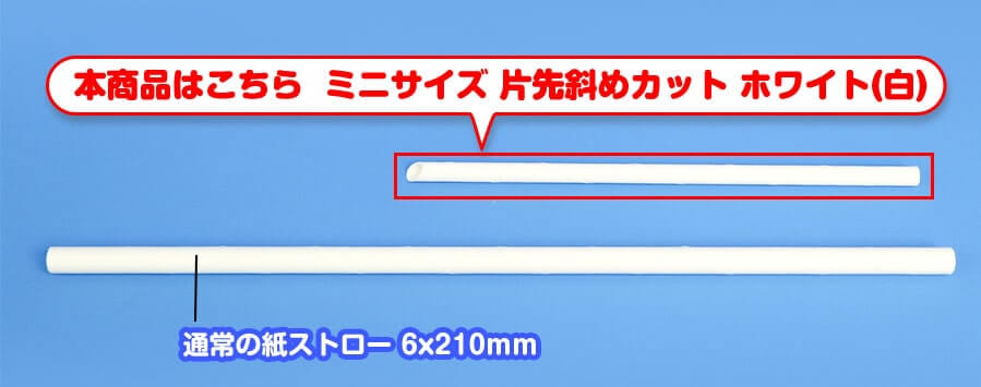 他の紙ストローと長さを比べた写真